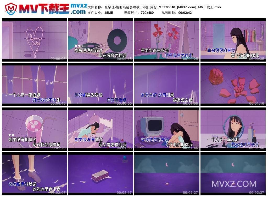 张宇佳-她的眼睛会唱歌_国语_流行_MEE00616